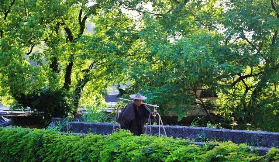 僵尸任务