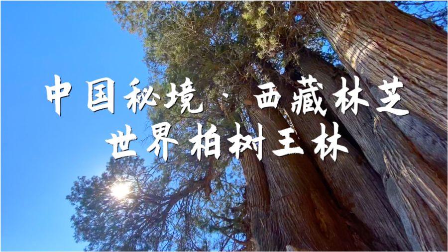 绘制像素图